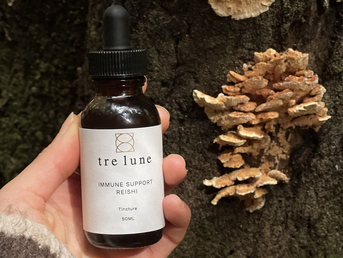 Hand holding a bottle of Tre Lune Immune Support Reishi tincture beside bracket fungus growing on a tree
